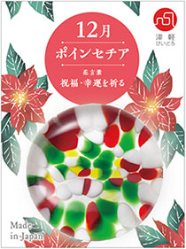 12月 ポインセチア