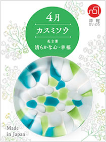 4月 カスミソウ