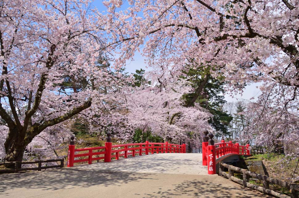 百色の青森 さくら | ハンドメイドガラスの伝統工芸品「津軽びいどろ」