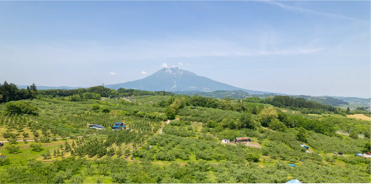 百色の青森　古くからりんごの木を守る、愛らしい救世主。