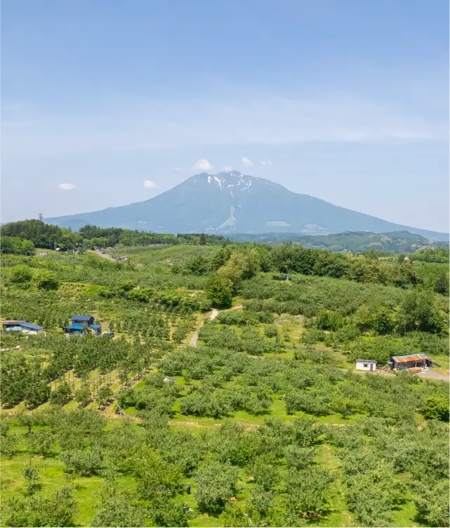 百色の青森　古くからりんごの木を守る、愛らしい救世主。