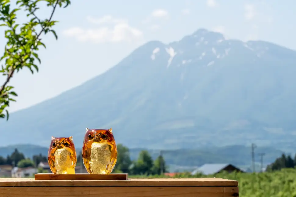 百色の青森 古くからりんごの木を守る、愛らしい救世主 | ハンドメイド