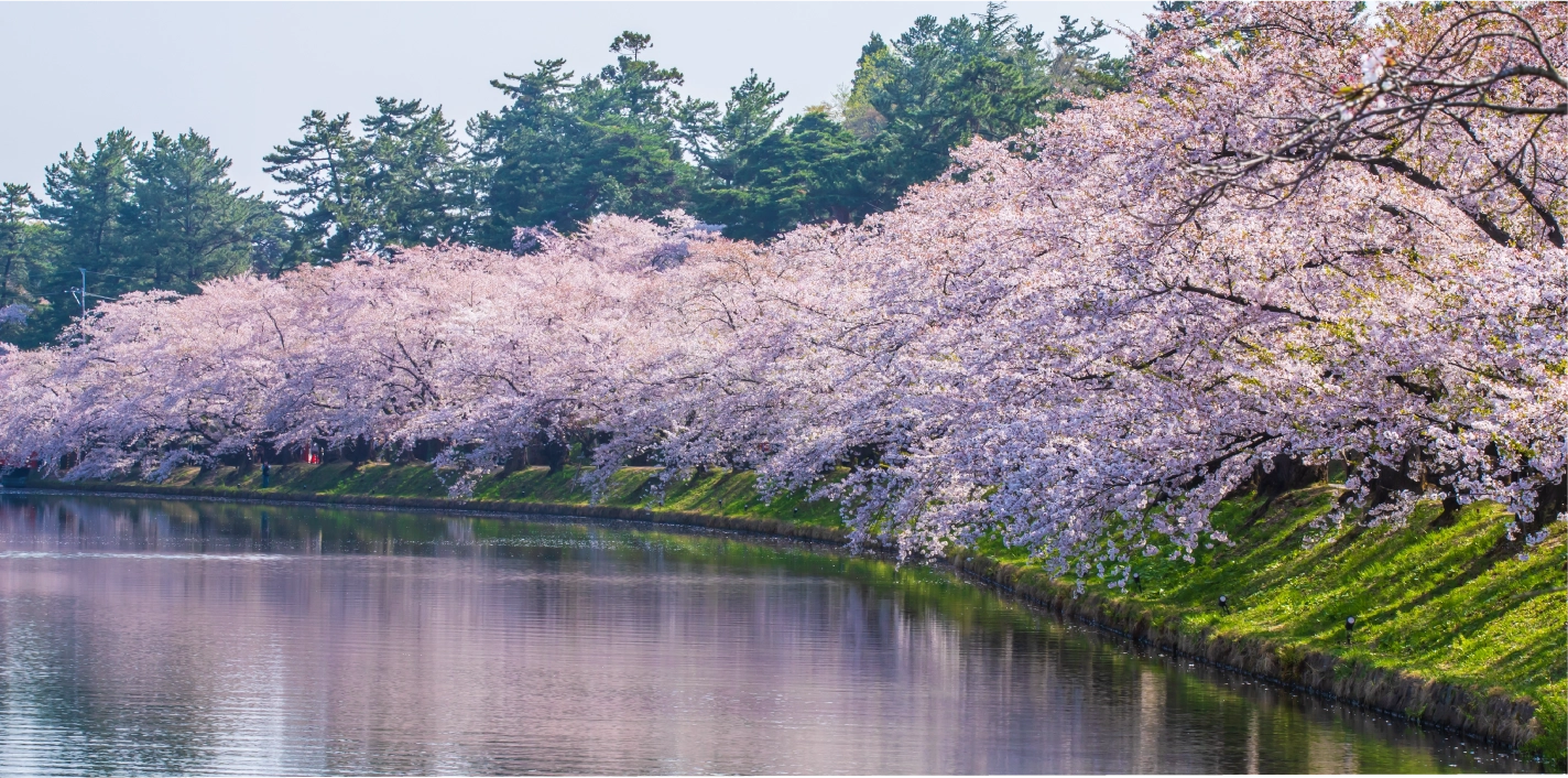 百色の青森　弘前で津軽文化に触れる旅
